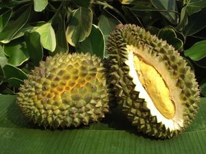 Durian[1]