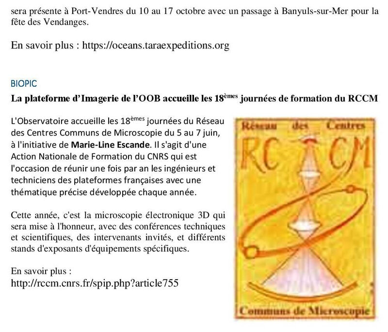 OBB Juin-page-002