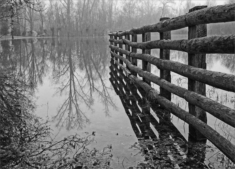 Marais Ste Christine brume Véro 311219 ym 2