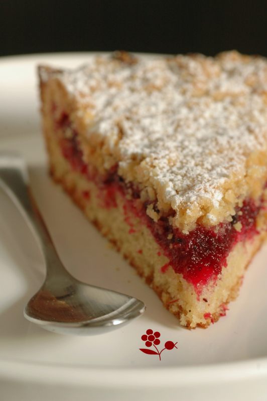 Gâteau crumble vanille-canneberges_5