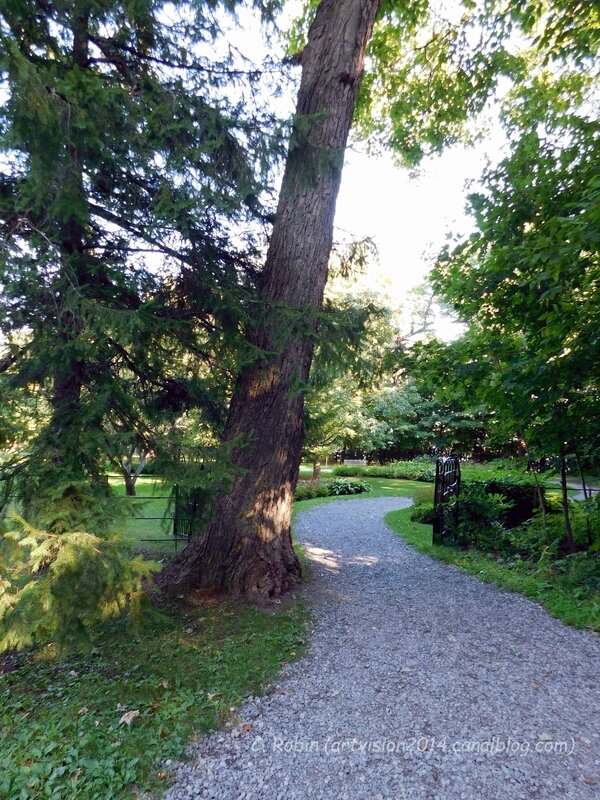 Bois-de-Coulonge-Arboretum-04