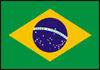 brazil100flag