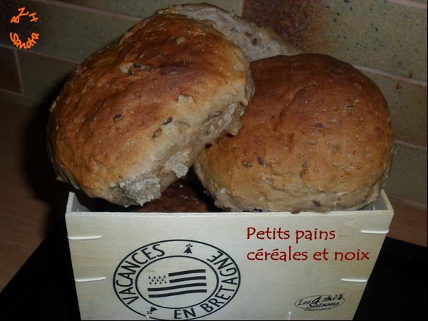 0911 Petits pains céréales et noix 1