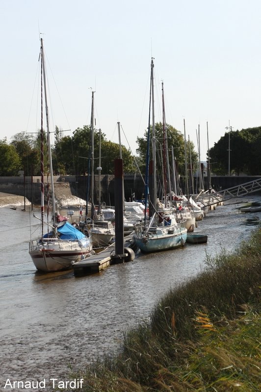 001691 Estuaire de la Gironde - Rive Droite - Pays du Blayais - Le Port des Callonges
