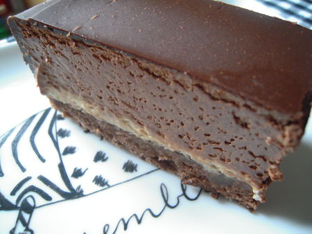 entremets_chocolat_noir____marron_003