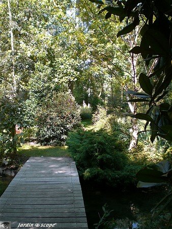 7410_Pont_au_dessu_des_Mauv