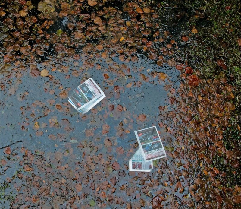 feuilles journaux feuilles arbres eau 101115 1