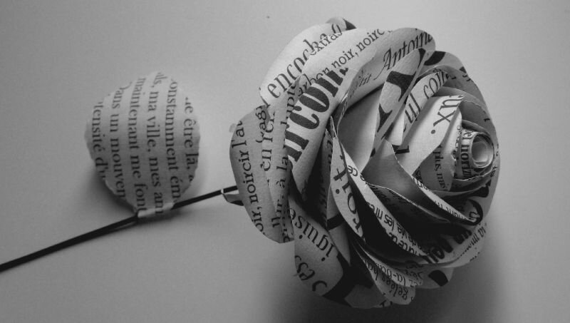 Rose littéraire, découpée dans des extraits de textes d'un auteur réécrits avec différentes typo,©Kalifragili (tous droits ré
