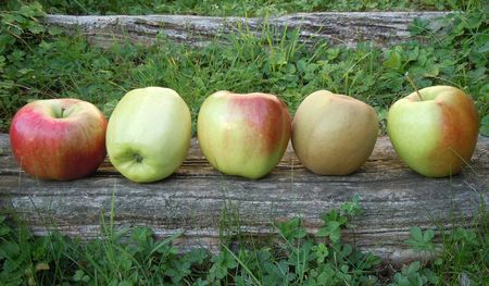 Assortiment pommes