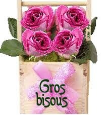 gros bisous roses