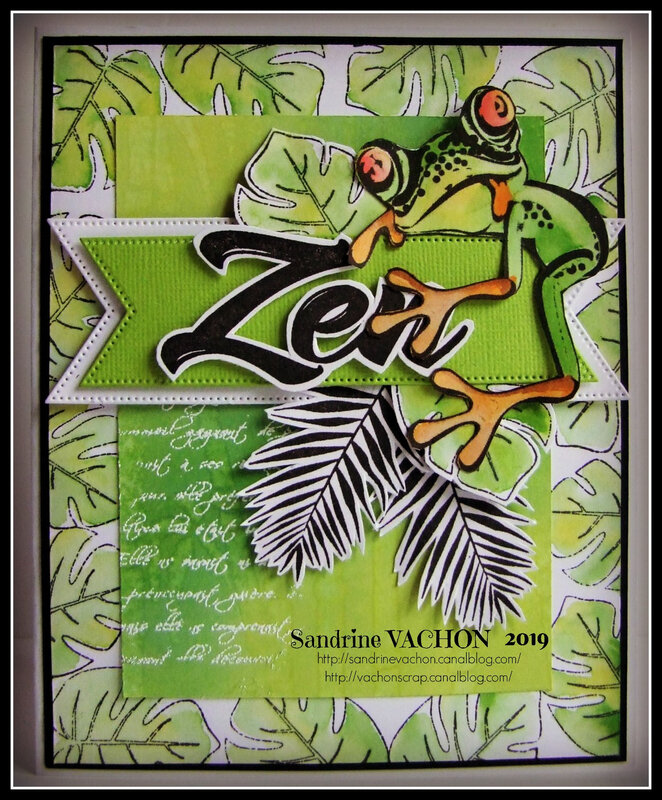 carte grenouille défi 590