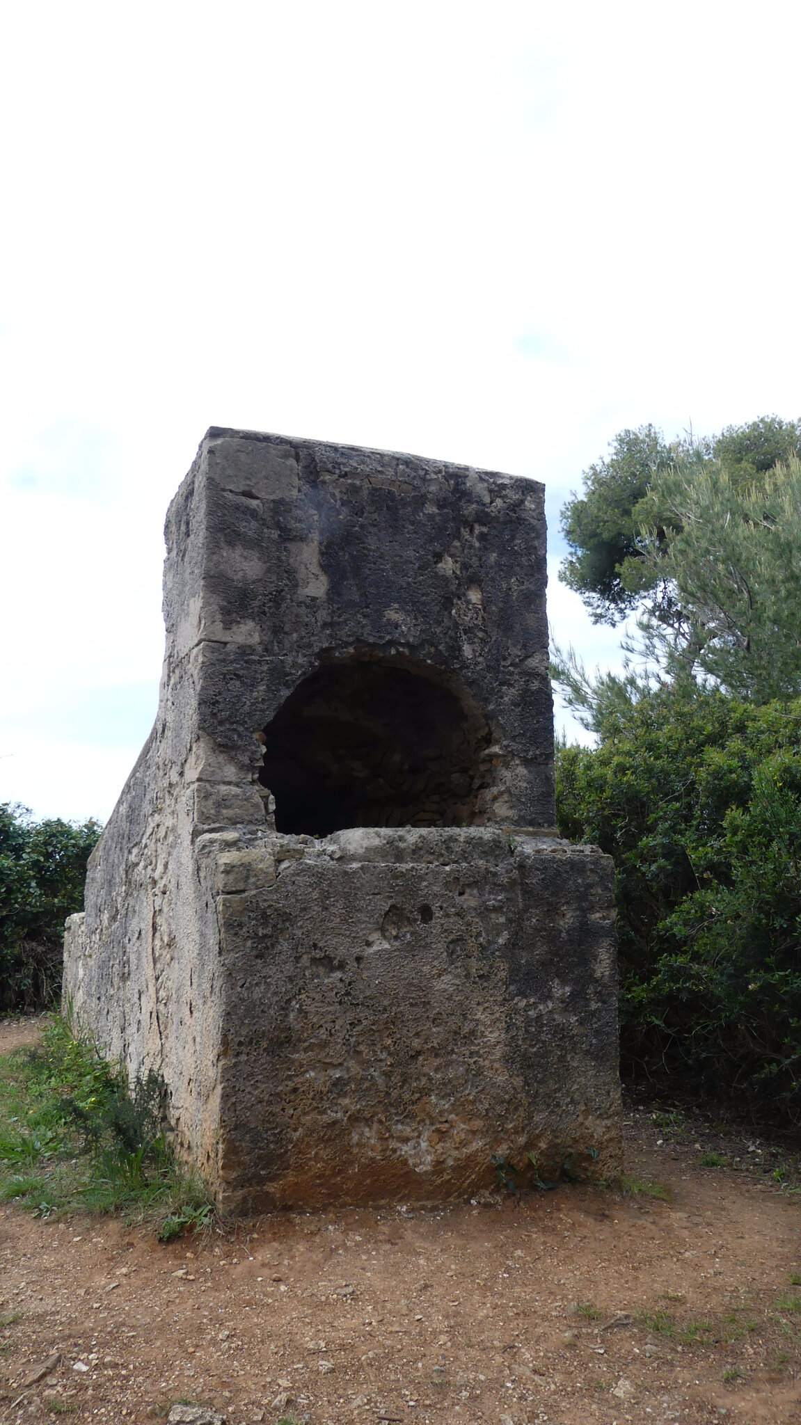 P1010331 - Copie