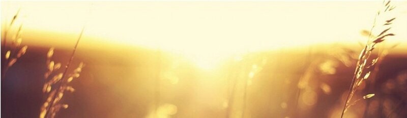cropped-tumblr_lz604w4m361r1fhyjo1_1280