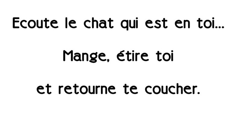 Ecoute le chat_n