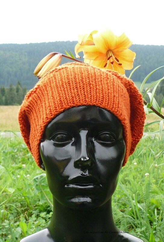 Bonnet Vitamine , face 1