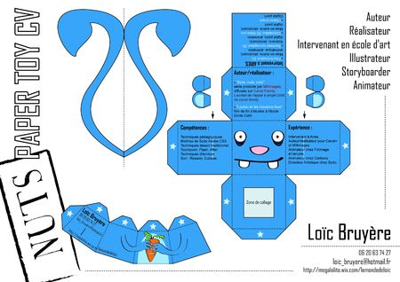 cv 2013 loic bruyere_