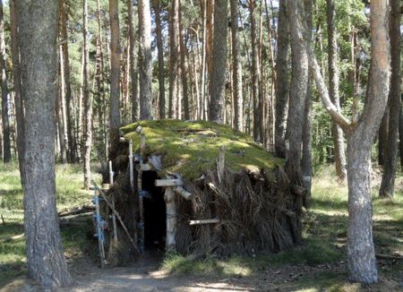 cabane dans un bois [800x600]