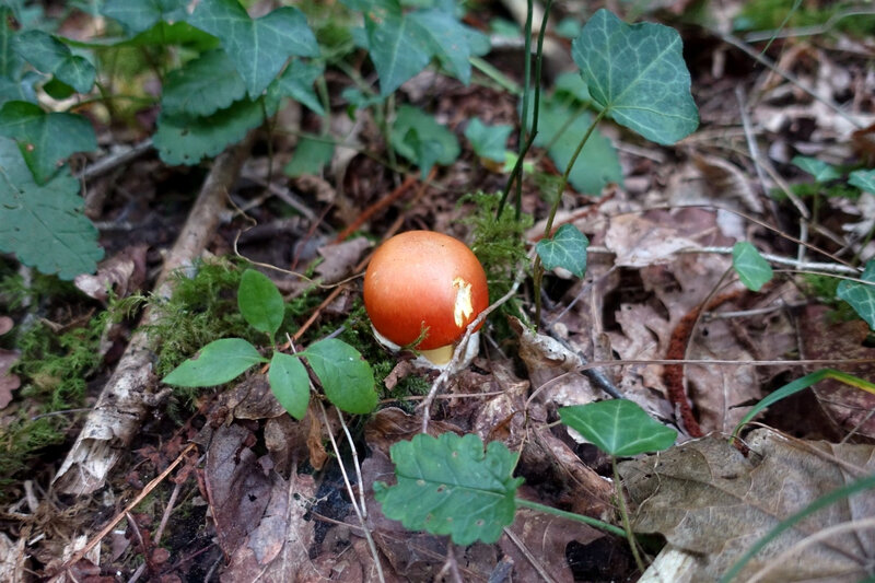 DSC06409