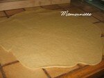 Tarte_aux_mirabelles_belles_et_fraises_du_jardin_avec_farine_T80_002