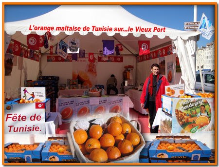 maltaise_de_tunisie
