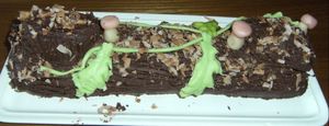 recettes bûche framboises et chocolat