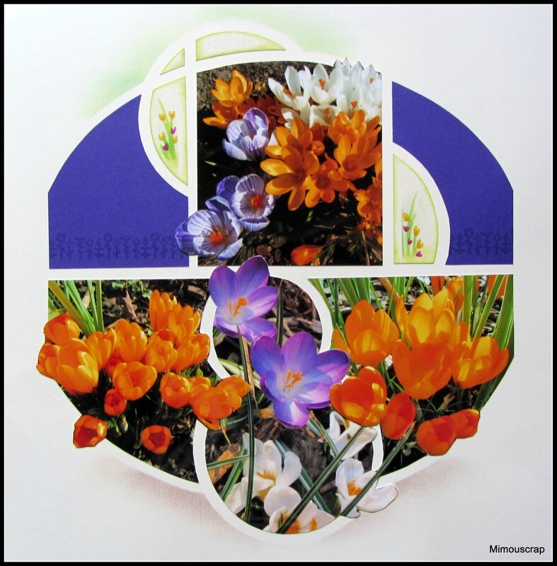 Jardin 2014 008