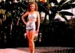 1945_bluebook_cap09