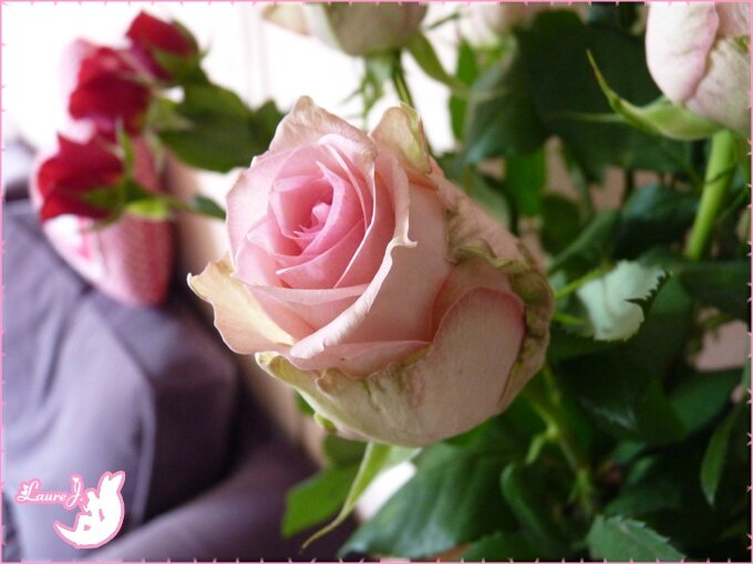 bouquet Amour 3