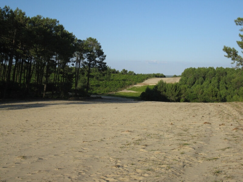 Photo-dunes-modernes-fixées-par-les-ateliers-du-XIXèsiècle-entre-lacs-et-océan