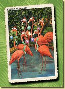 flamingos_pop