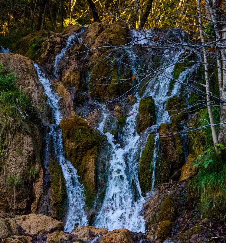 28102014-IMG_7323