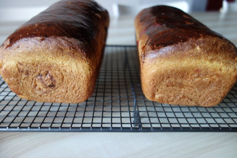 brioches bicolores