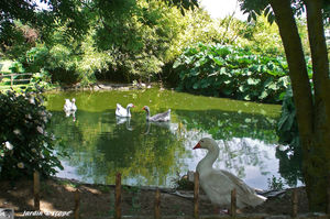 jardins_de_Roquelin_26