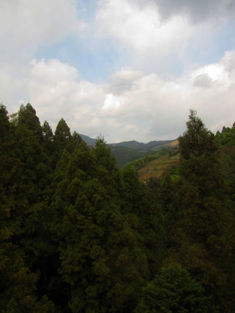 Japon_2010_789