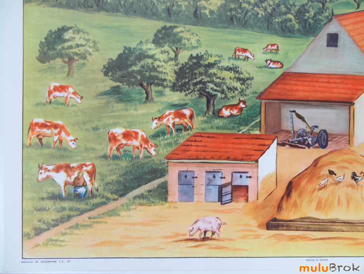 Affiche-FERME-ELEVAGE-Laiterie-8-muluBrok