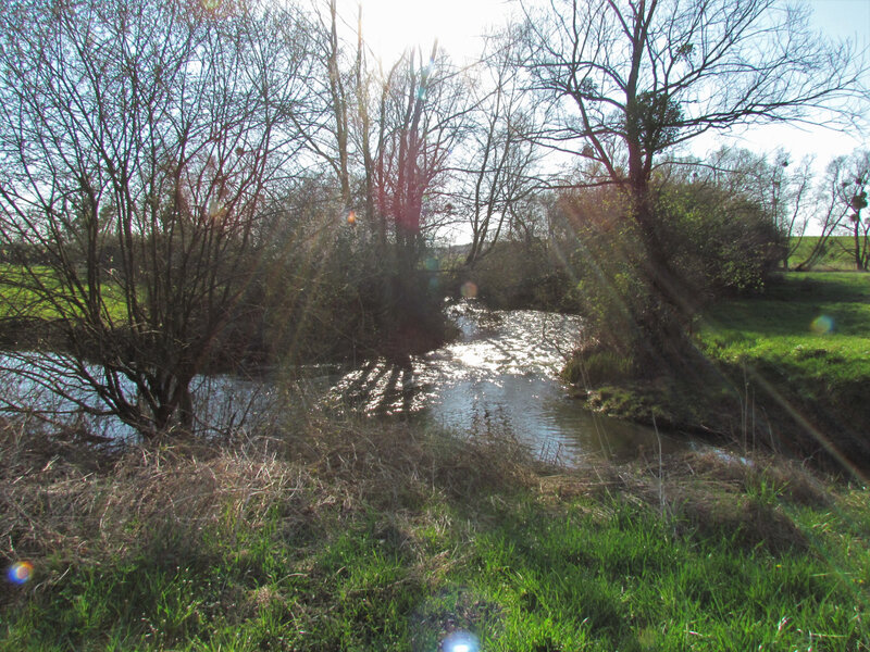 IMG_0022 - Copie