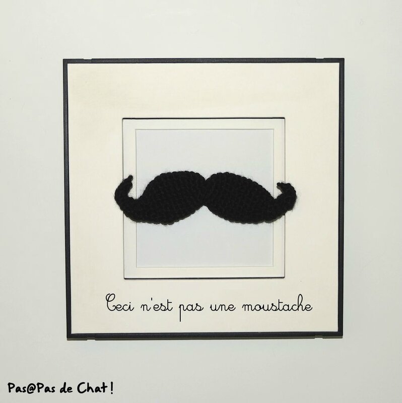 moustache-1-pasapasdechat