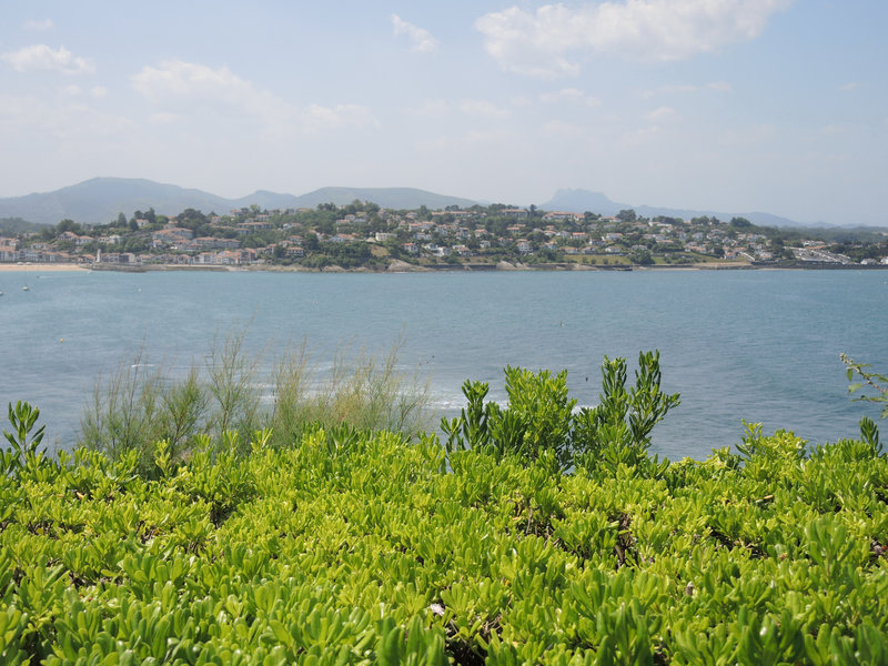 Saint-Jean-de-Luz, colline Sainte Barbe, vue sur Ciboure (64)