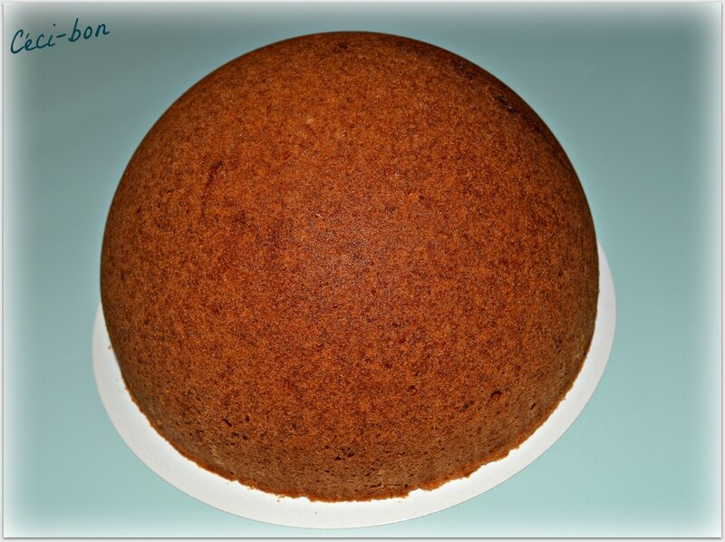 A Dôme sponge cake