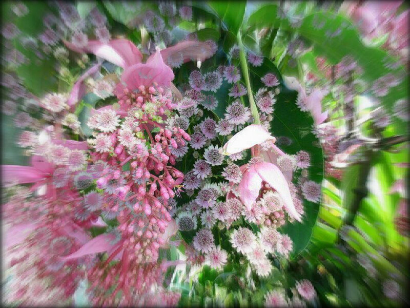 nature2
