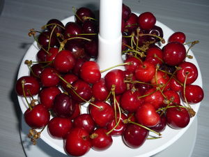 cerise_003