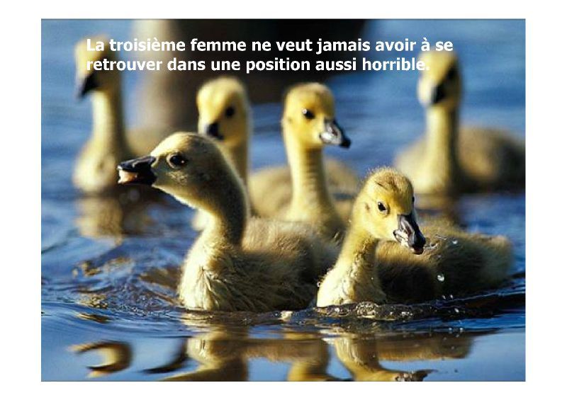 Canards une petite blague p rire X [Mode de compatibilité](4)