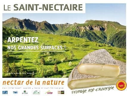 campagne-de-com-saint-nectaire_496681