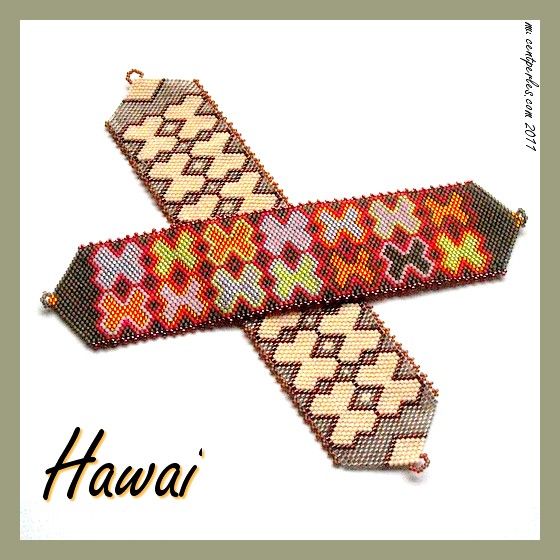 hawai2