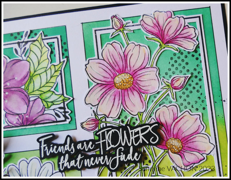 Sandrine VACHON Moodboard PCC juin (3)