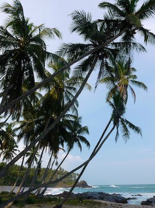 Sri Lanka 4 plage