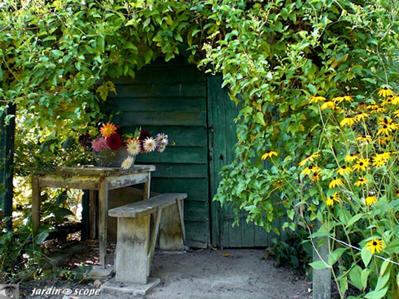 Le banc de la cabane au conservatoire d'Ilex de Meung-sur-Loire 