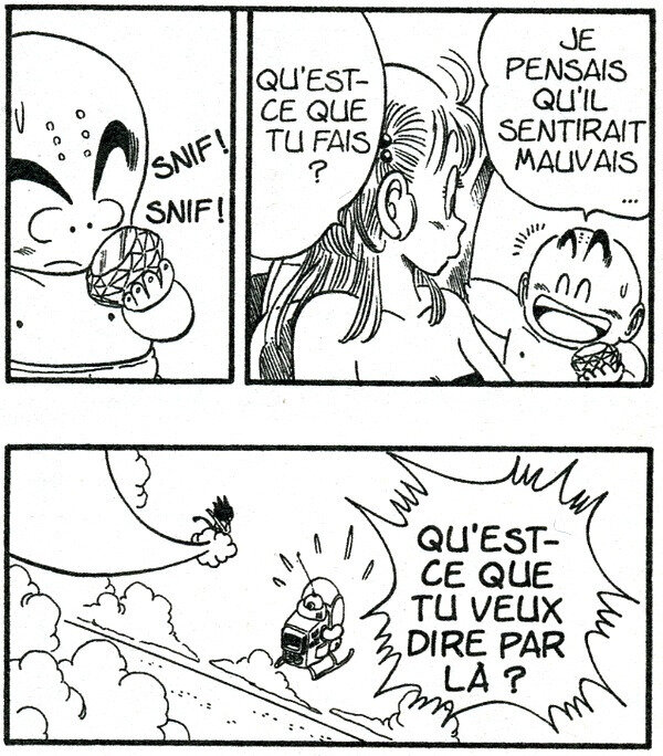Canalblog Manga Dragonball Sexe Tome7 02
