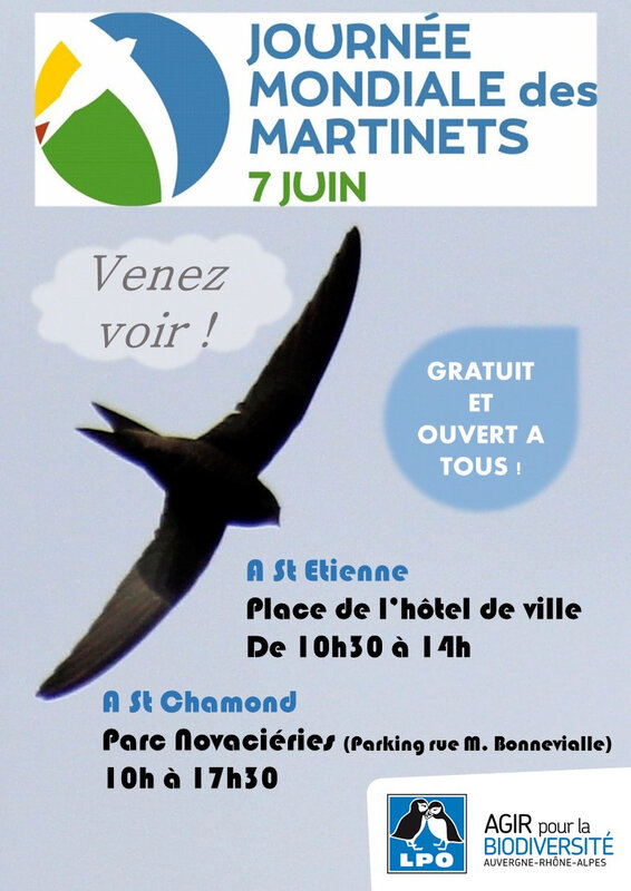 Affiche St Etienne