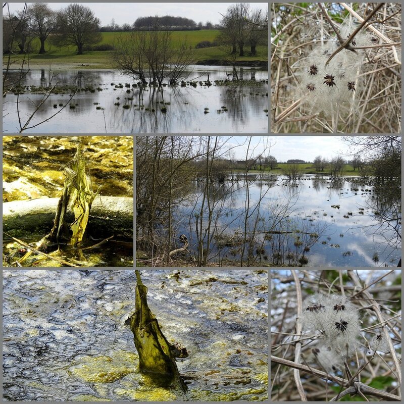 crues de Loire